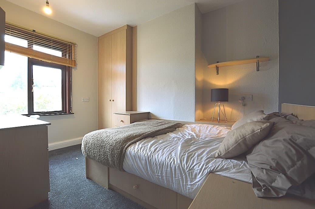 Bedroom with desk and storage